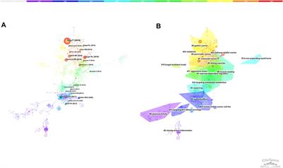 Molecular Mechanisms of Exercise on Cancer: A Bibliometrics Study and Visualization Analysis via CiteSpace